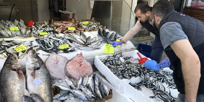 Hamsi'nin fiyatı 5 liraya kadar düştü