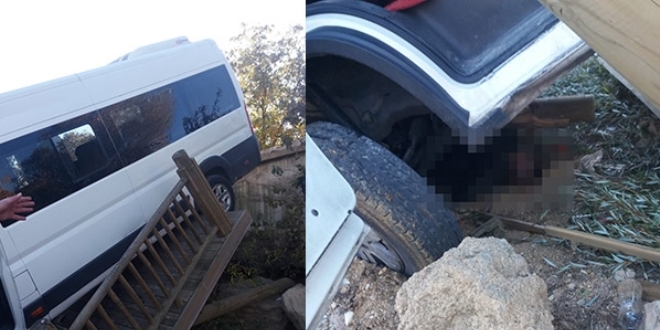 Eğlence, yasa döndü! Piknikte akılalmaz ölüm