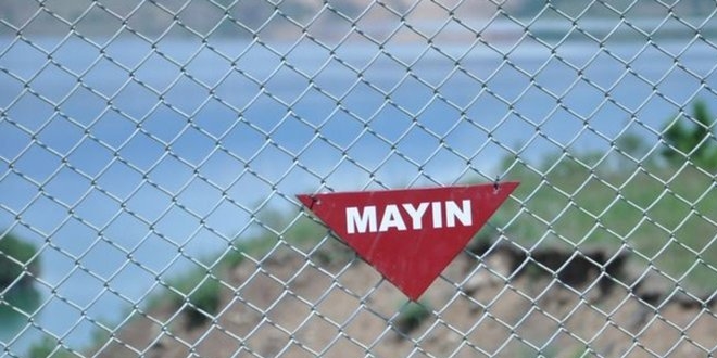 Sınırdaki mayınlı araziler temizleniyor! 50 milyon m2 tarıma açılıyor