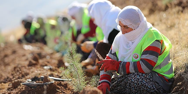 Ormanlar kad�n eliyle ye�eriyor