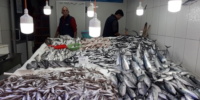 Av sezonu bal�k��lar� mutlu ediyor