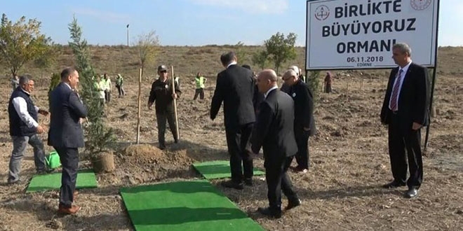 Görevliler araziye halı serdi, Vali kaldırttı