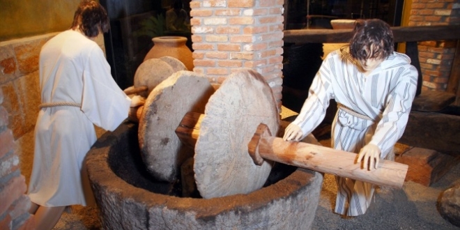 Emekli öğretmen çiftin zeytin merakı müzeye dönüştü