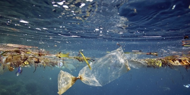 'Bal�klar�n yedi�i plastikler taba��m�za geliyor'