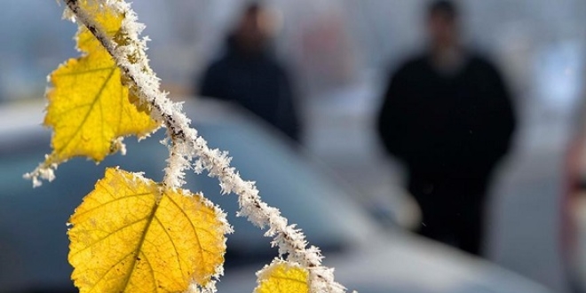 Do�u'da buzlanma ve don uyar�s�