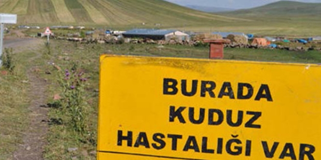 Bakanl�ktan 'Bal�kesir'de kuduz karantinas�' a��klamas�