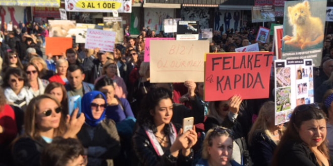Ankara'da 'hayvan hakları' protestosu
