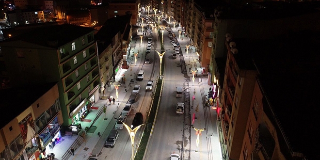 Ters laleler Hakkari caddelerine ışık saçıyor