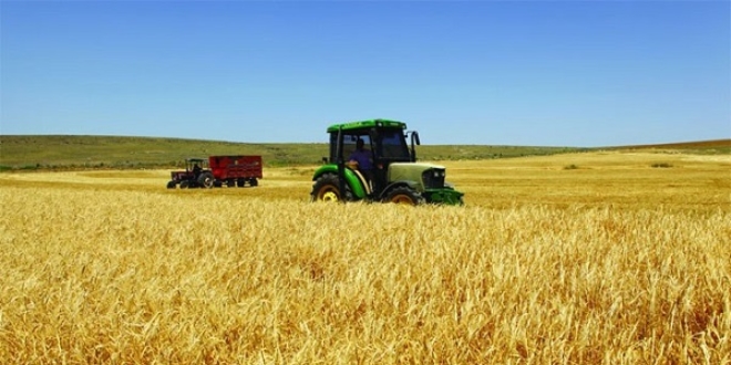 Ordu'da 689 genç çiftçiye 21 milyon lira hibe