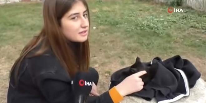 Lise öğrencisi üşüyen kediye hırkasını sardı