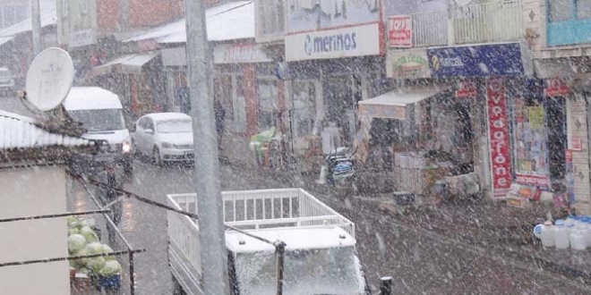 Bingöl'ün ilçeleri beyaza büründü