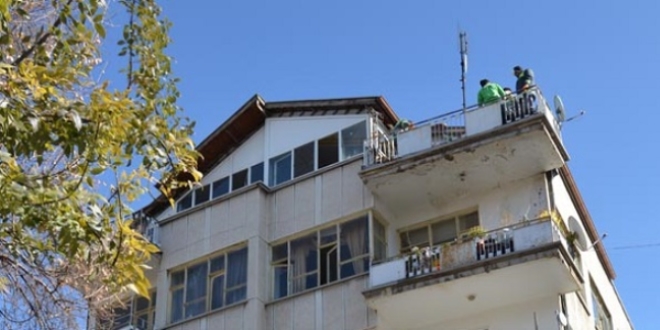 Emekli mimar kad�n�n evinden 8 kamyon ��p ��kar�ld�