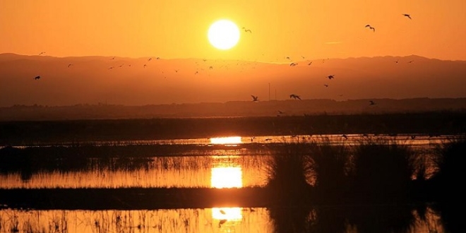 K�z�l�rmak Deltas� 'D�nya Do�al Miras�' listesine girmeye haz�rlan�yor