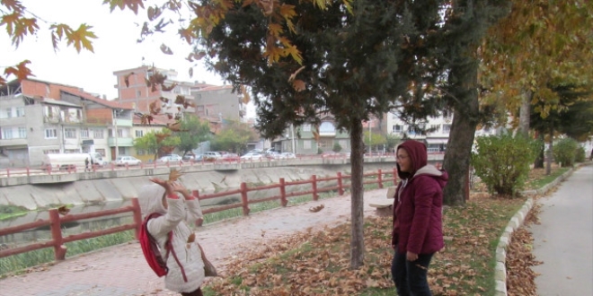Belediyeden 'sonbaharın renklerine dokunmama' kararı