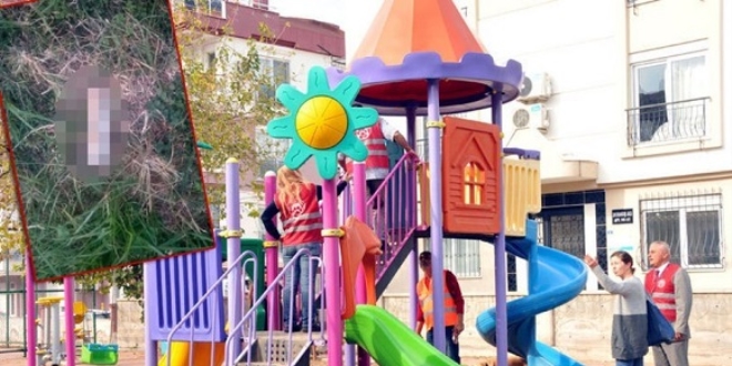 'K�pe�in pati ve ayaklar�n� keseni g�r�p de ihbar edene para �d�l� verece�iz'