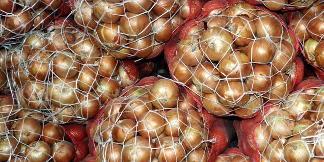 MEB'den ecdat miras� i�in ilk laboratuvar