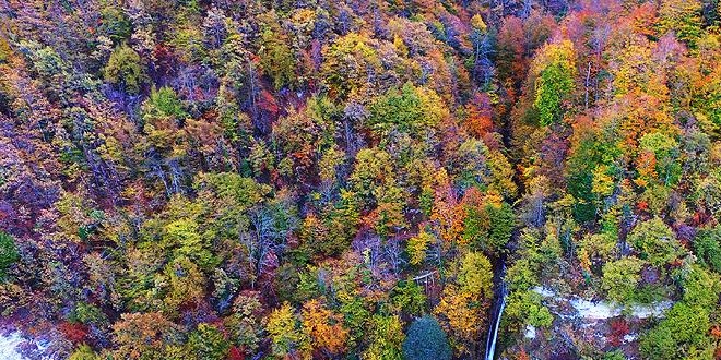 Tabiat parkları sonbahar renkleriyle büyülüyor