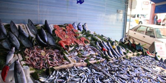 Hamsi bolla�t� bal�k fiyatlar� d��t�