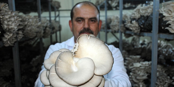 Sivas'ta tek! Taleplere yeti�emiyor