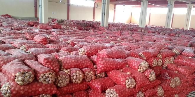 Ankara'daki depoda 1300 ton kuru soğan çıktı