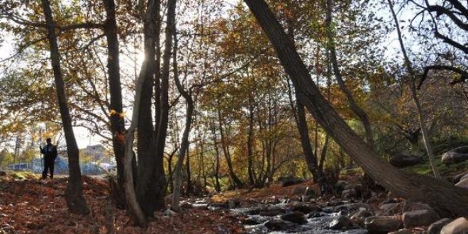 İdilli Vadisi'nde, sonbahar güzelliği