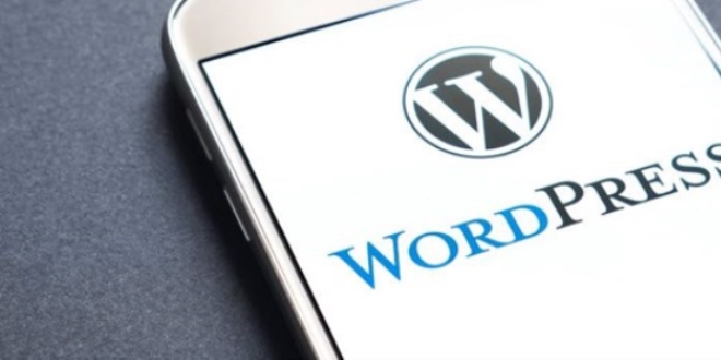 Wordpress'te korkutan g�venlik a����