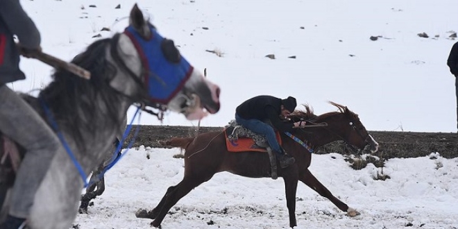 Cirit atlarının 'kar üstündeki dansı' başladı