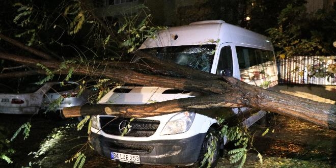 Şiddetli fırtınada ağaç minibüsün üstüne devrildi