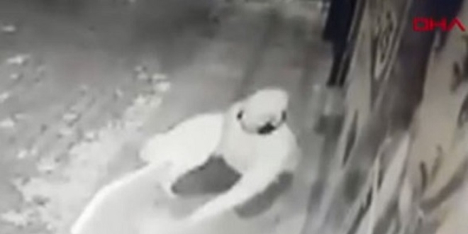 Sokak köpeğinin üstünü montuyla örttü