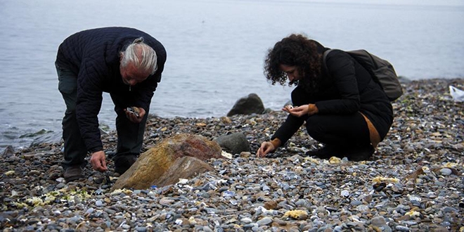 Do�adan toplad�klar�n� tak�ya d�n��t�r�yor