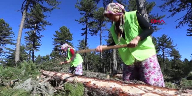 Ormanda erkeklerle birlikte balta sall�yorlar