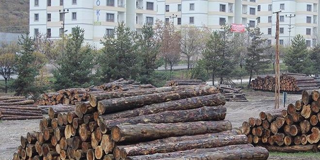 Kaçak kesim yapan 2'si memur, 3 şüpheli tutuklandı