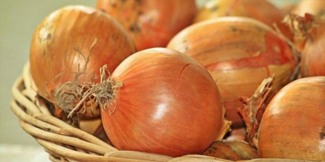 Rekabet Kurumu so�an fiyatlar�n� yak�ndan takip ediyor