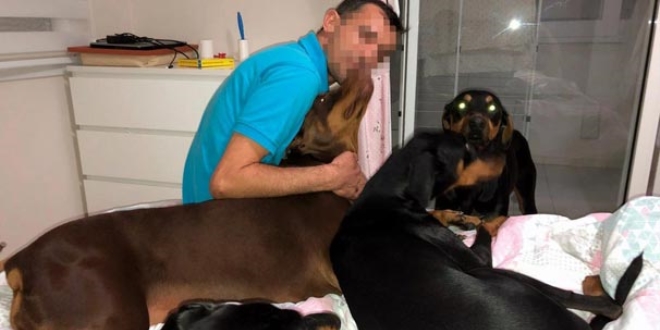Eşindeki köpeklerini görme talebini üst mahkeme de reddetti