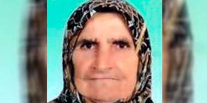 Yaşlı kadını öldüren ayı için 'vur' emri