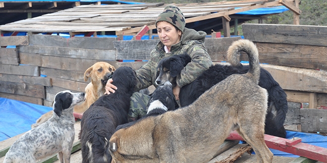 Hayvan haklar� i�in ��pl�kte a�l�k grevi yap�yor