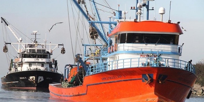 Limana yaklaşık 50 ton hamsiyle döndüler
