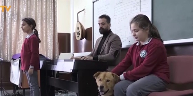 Müzik öğretmeninin köpekleri de derslere giriyor