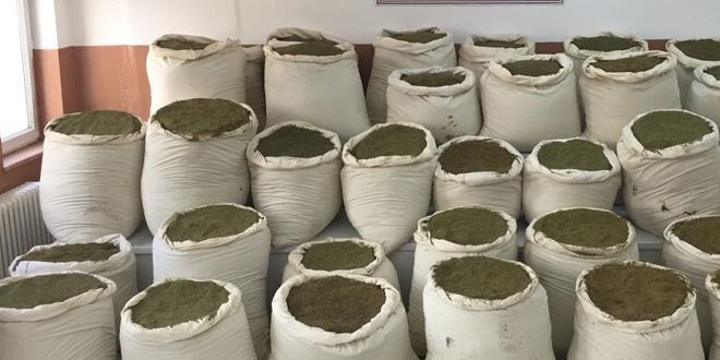 Uyuşturucuyla mücadele 'PKK bataklığı'nı kurutuyor