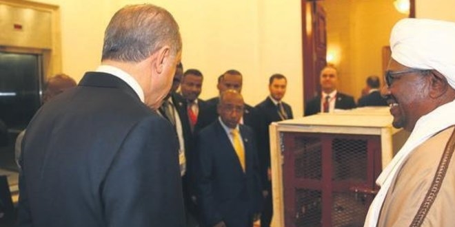 Cumhurbaşkanı'na hediye edilen arslanlar büyüdü