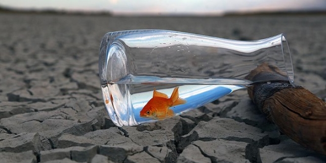 T�rkiye iklim de�i�ikli�iyle m�cadele i�in finans sorununa ��z�m bekliyor