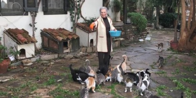 Osmanlı Paşası'nın torunu, müze geliriyle sokak kedilerini doyuruyor