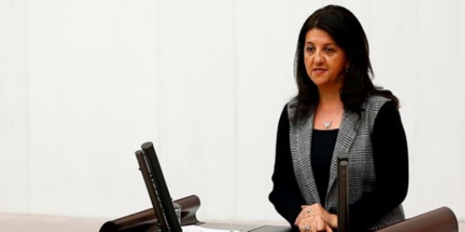 HDP'li Pervin Buldan: Halkın değil, sarayın bütçesi
