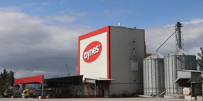 Aynes'teki kayyum kararı kaldırıldı