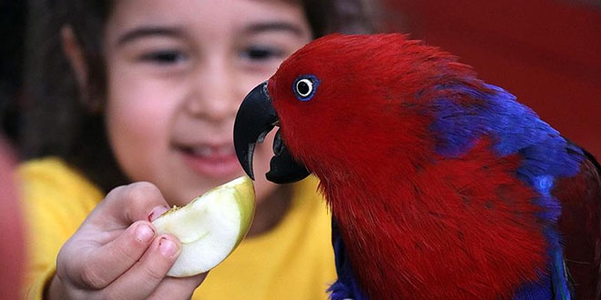 M�d�r okulda 'ku� park�' olu�turdu