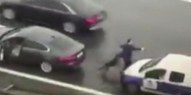 Otoyolun ortas�nda kalan k�pe�i b�yle kurtard�lar