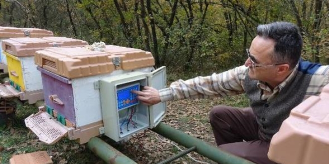 Arı ölümleri klimalı kovanlarla azalacak
