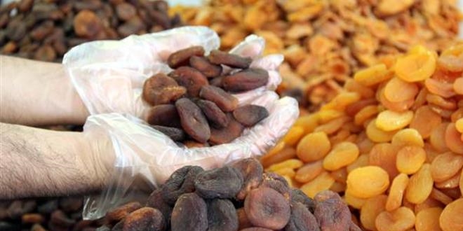 Dünyanın ağzı Malatya kayısısıyla tatlandı