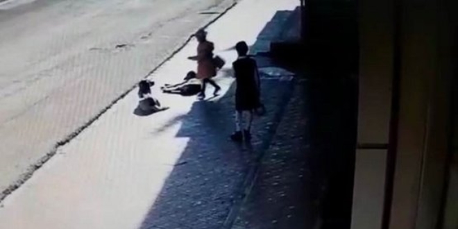Sokak köpekleri kendilerini seven küçük kıza saldırdı
