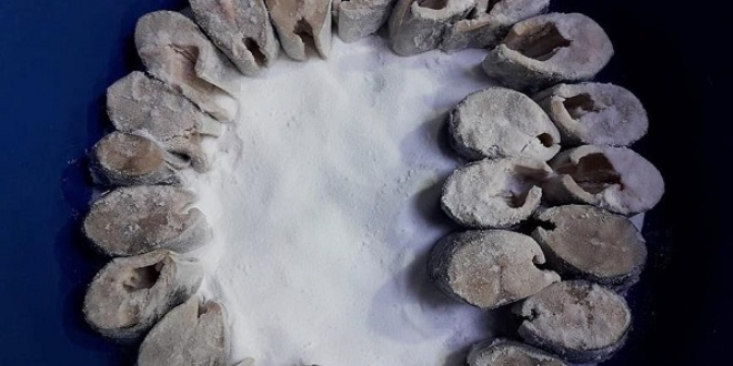En iyi 'tuzlu balık' için yarışacaklar